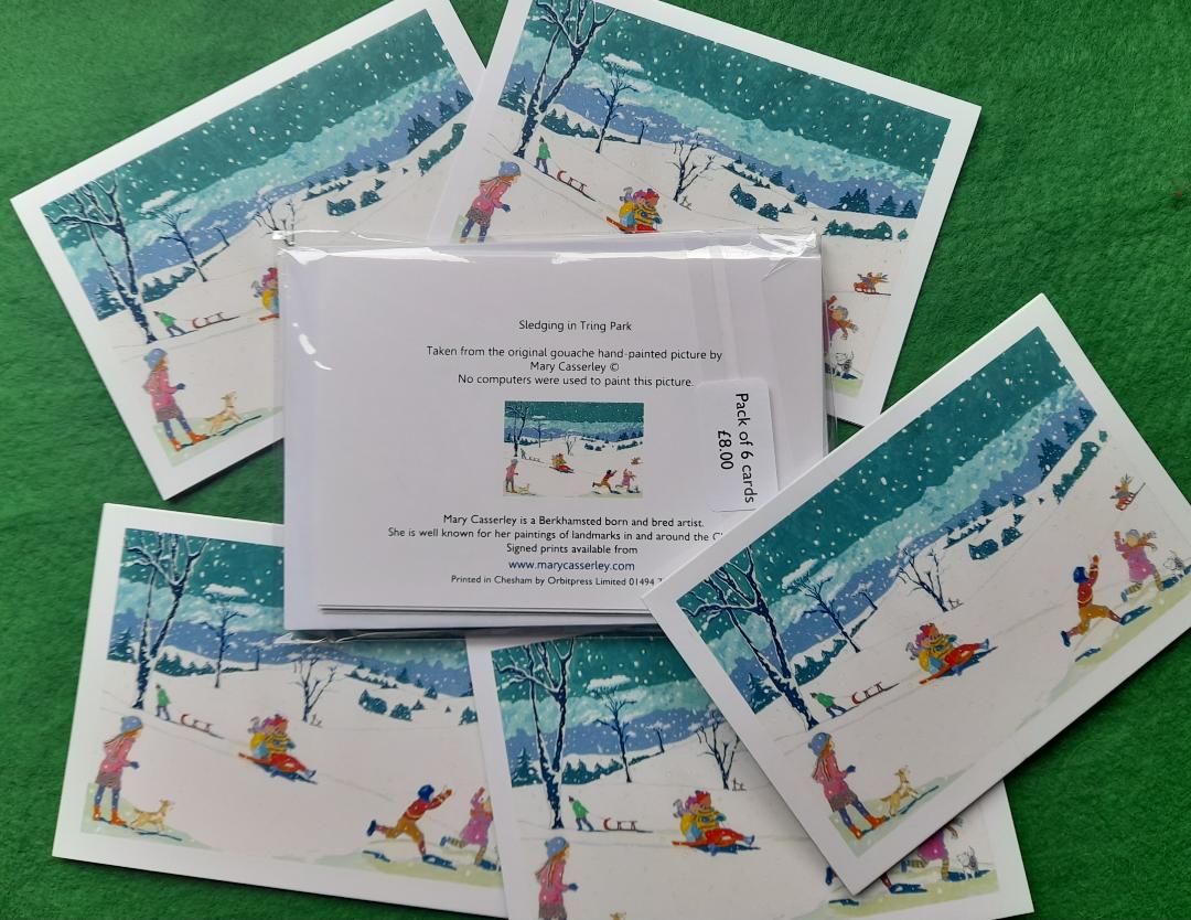 Sledging in Tring Park (Mini pack of 6)