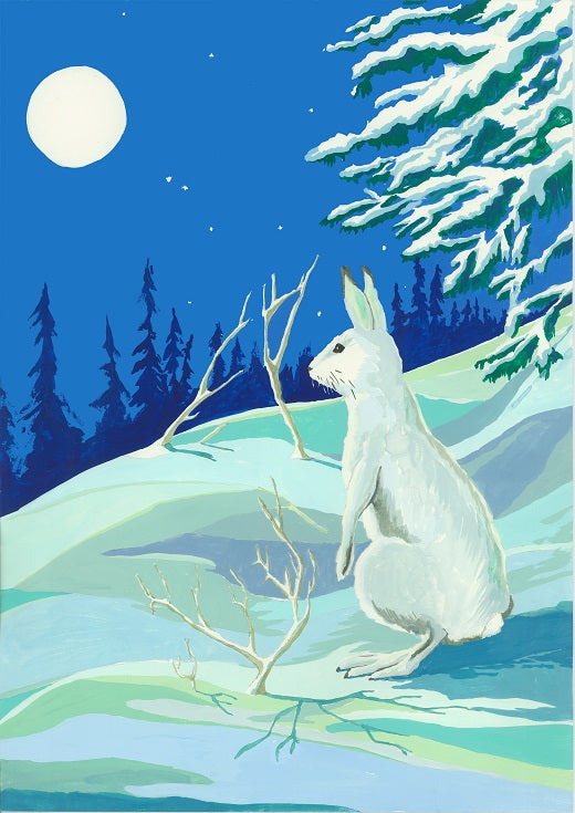 Winter Hare